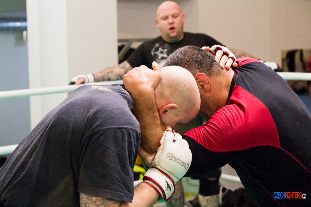 gcfwrest-18