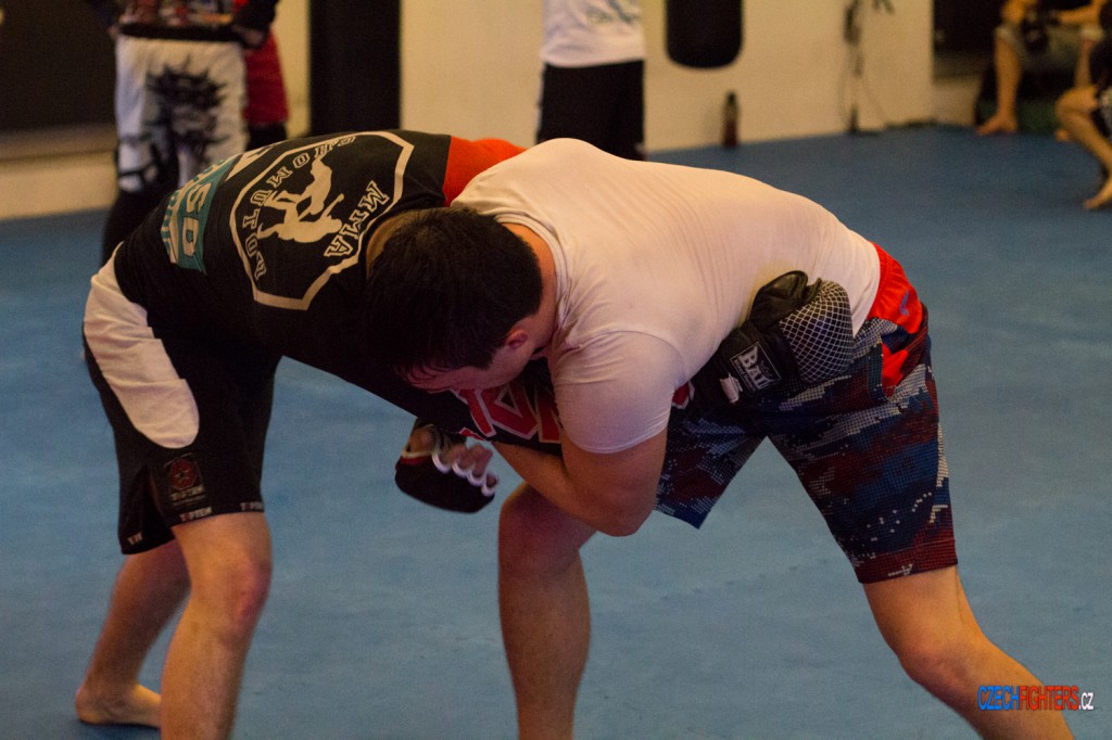 gcfwrest-52