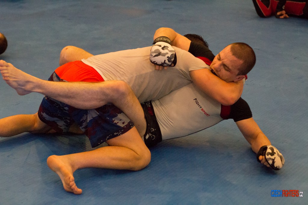 gcfwrest-82