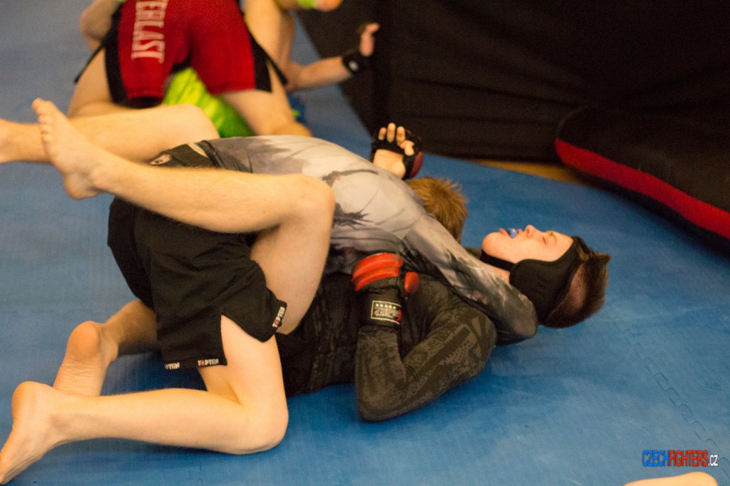 gcfwrest-86
